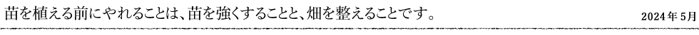 苗を植える前にやれることは、苗を強くすることと、畑を整えることです。