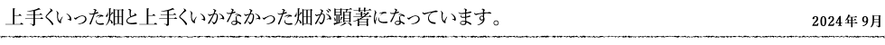 上手くいった畑と上手くいかなかった畑が顕著になっています。