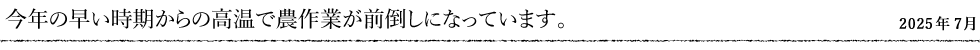 今年の早い時期からの高温で農作業が前倒しになっています。