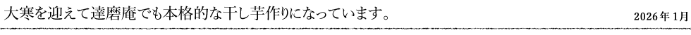 大寒を迎えて達磨庵でも本格的な干し芋作りになっています。