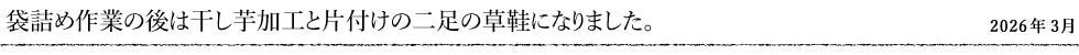 袋詰め作業の後は干し芋加工と片付けの二足の草鞋になりました。