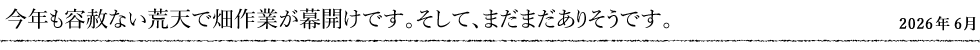 今年も容赦ない荒天で畑作業が幕開けです。そして、まだまだありそうです。