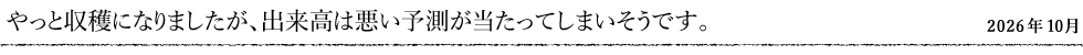 やっと収穫になりましたが、出来高は悪い予測が当たってしまいそうです。